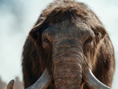 Niezwykła konstrukcja znaleziona w Ukrainie. Powstała dzięki mamutom