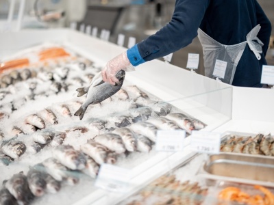 Dorsz, śledź i makrela w kryzysie. Klimat dosięga także ryby