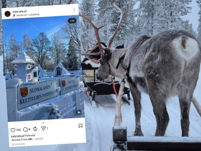 W tej polskiej wiosce poczujesz się jak w Finlandii. Renifery, husky, sauny i zorza polarna