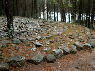 Tajemnicze kręgi na Kaszubach. Kto zabierze stąd kamień, może tego gorzko pożałować