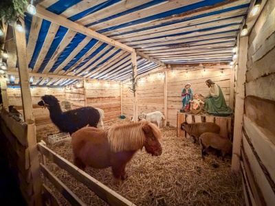 Świąteczna atrakcja przy kościele na Ostrogu. Żywa szopka i kolędowanie w parafii św. Jana Chrzciciela