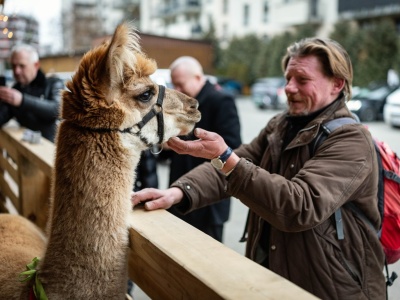Kraków: żywa szopka wspiera cele charytatywne