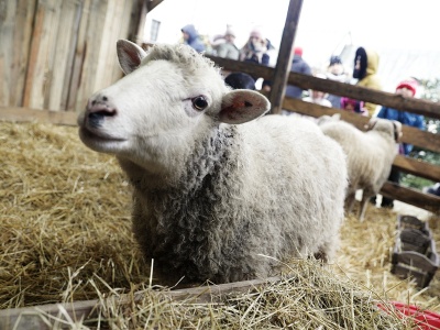 Żywa szopka w klasztorze przypomina o cudzie narodzin Mesjasza