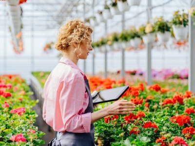 Godziny pracy w Holandii i związane z nimi przepisy