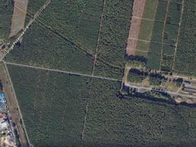 Zamiast w Emilianowie na lotnisku? Marszałek ma swoją wizję terminalu intermodalnego