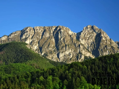Pod koniec XIX wieku Tatry były prawie łyse – dziś mało kto o tym wie