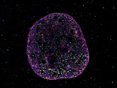 Odkryto ukryty język DNA! “Kod geometryczny” pomaga DNA w obliczeniach i zapamiętywaniu