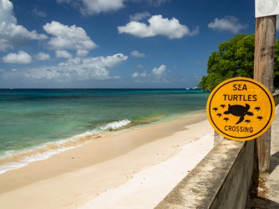 Karaiby w super cenie 🌤️🏖️ Bezpośrednie loty na Barbados z UK za 1292 PLN 🤿👙😎