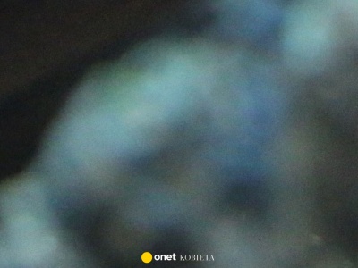 Atak piranii w Brazylii. Nie żyje dwuletnia dziewczynka