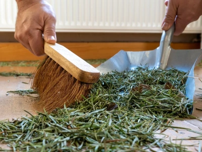 Choinka sypie się po tygodniu? Te proste triki sprawią, że wytrzyma do Trzech Króli