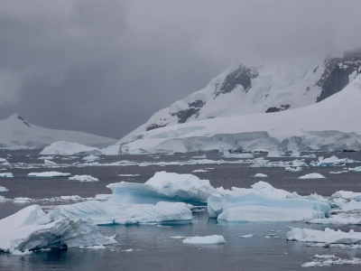 Ten drapieżnik z głębin może żyć setki lat. Naukowcy odkryli jego sekret