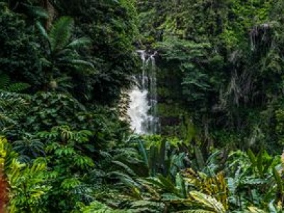 600 tys. zgonów rocznie. Najgroźniejsze zwierze na świecie
