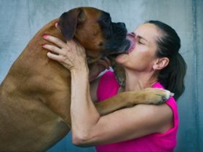 Mówisz do psa jak do dziecka? Oto co dzieje się wtedy w jego mózgu