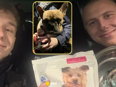 Ktoś zostawił na mrozie psa przywiązanego do drzewa. Policjanci nie wahali się ani chwili
