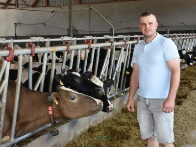 Robot doi, a krowy nie chcą przychodzić. 