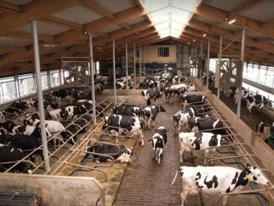 Cyberataki, które dotknęły rolnictwo. To nie są scenariusze z filmu