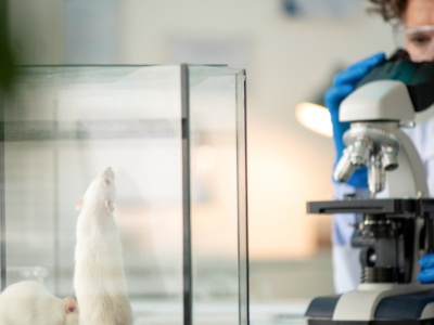 Naukowcy na tropie genu spokoju. Stwarza szansę leczenia ADHD inaczej niż dotychczas