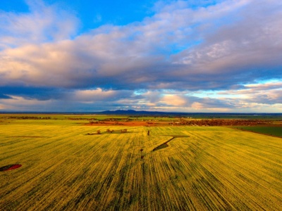 Spadkobiercy farmerów sprzedali milion hektarów ziemi. W pakiecie stado 90 000 sztuk bydła