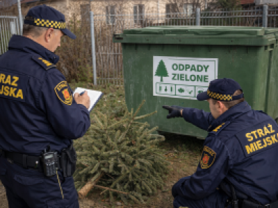 Straż Miejska już czeka. 500 zł kary za choinkę. Jak uniknąć drogiej pomyłki?