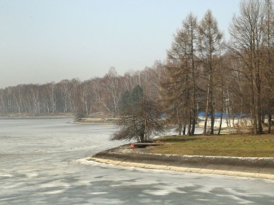 Karp nie jest mile widziany w rodzimym środowisku. To zagrożenie