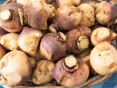 Dla Norwegów i Brytyjczyków to najlepszy zamiennik ziemniaków. Polacy gardzą i dają świniom