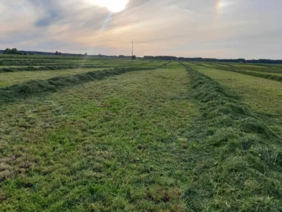 Ile dziś kosztują łąki? Ceny poszły w górę i zaskakują rolników