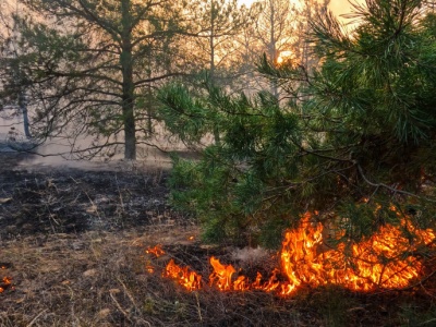 Nawet 30 tys. zł za podpalanie traw. Zmiany pod koniec grudnia