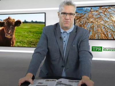 Ceny mleka spadają. Co się stało? Kiedy nastąpi odbicie?