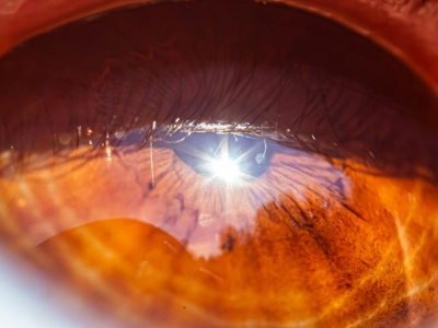 Ten człowiek wyprzedził europejską naukę o setki lat. Kim był Alhazen?