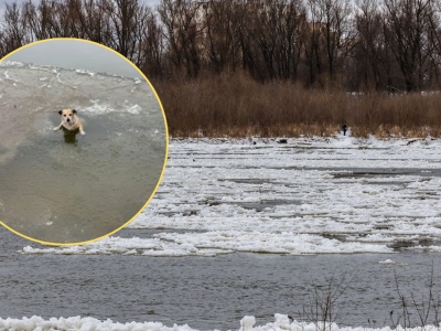 Topił się w Wiśle. Kobieta natychmiast zareagowała. 