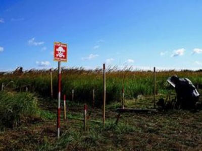 Decyzja Litwy weszła w życie. Kraj wraca do min przeciwpiechotnych