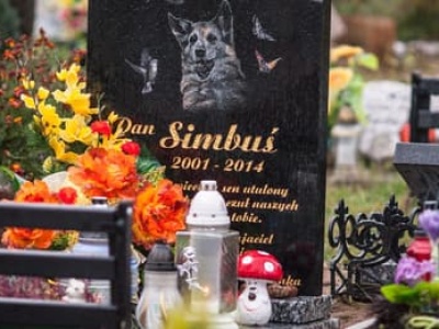 To nie był „tylko” pies. O miłości i żałobie po zwierzętach