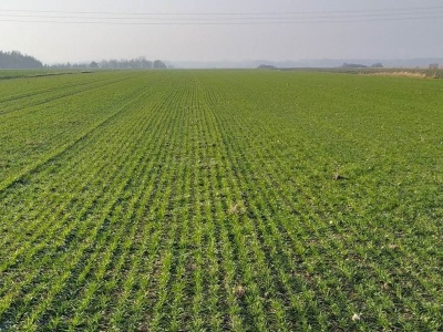 Nowy kontrakt na surowce dla nawozów NPK. Grupa Azoty i Nutrien łączą siły