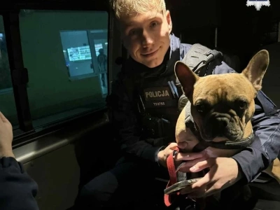 Pies przywiązany do drzewa w centrum Jastrzębia-Zdroju. Policja przypomina: porzucenie to przestępstwo