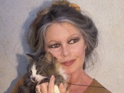 Do kogo trafi MAJĄTEK Brigitte Bardot? Przekazała go na AUKCJĘ