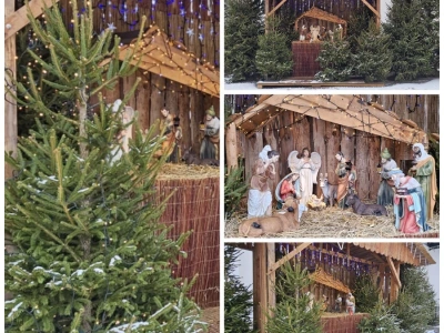 Wyjątkowa szopka przy parafii w Zdroju przyciąga jastrzębian