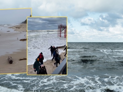 Pokazali nagranie ze Stegny. W sieci zawrzało. 