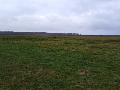 Dopłaty bezpośrednie 2026 na nowych zasadach. Co się zmieni?