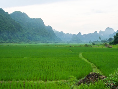 Tysiące pradawnych artefaktów pod polami ryżowymi Wietnamu. Nikt ich się tam nie spodziewał