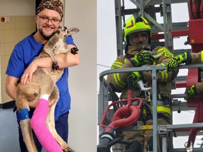 Niecodzienny pacjent i nietypowa interwencja