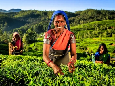 Rainbow lata już z Gdańska do Kenii i Sri Lanki. „Zainteresowanie rośnie”