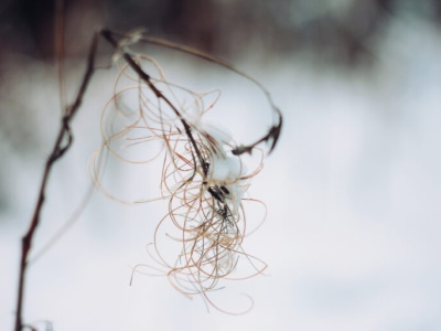 Pogoda na wtorek. Zawieje zimowy wiatr