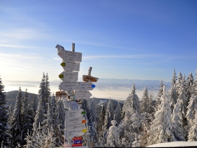 Na zimowy spacer i na biegówki. Ten szlak zimą nie ma sobie równych