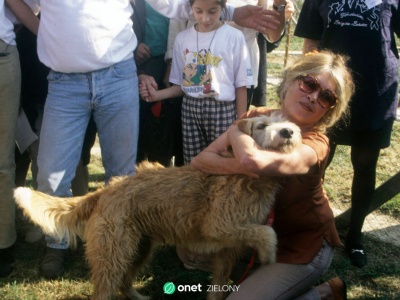 Brigitte Bardot chciała być pochowana ze zwierzętami. Oto co mówi o tym prawo