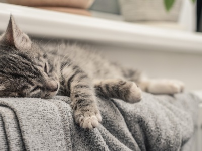 Czym najtaniej ogrzać dom? Nowe wyliczenia pokazują, które źródła ciepła są najbardziej opłacalne