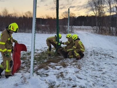 Jeleń uwięziony w siatce. Strażacy z ruszyli na pomoc. Kobiernice
