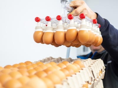 Paradoks rynku jaj w Polsce. Wysokie ceny to dopiero początek problemów