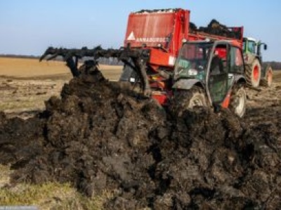Obornik na celowniku. Kary dla rolników pójdą w górę