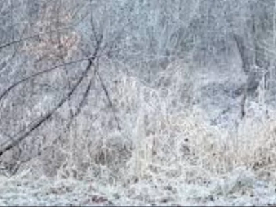 Raport z rejonu. Pogoda była łaskawa dla Jeleniej Góry