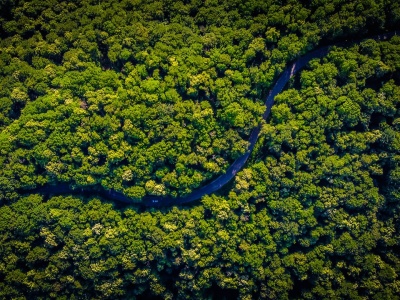 Nowy klimat, nowe reguły. Amazonia wchodzi w reżim, którego Ziemia nie pamięta